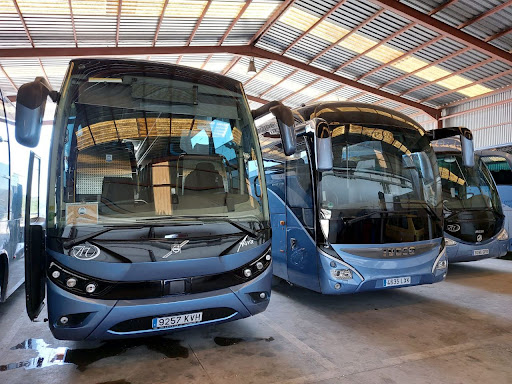Autobuses Vidal Cartagena