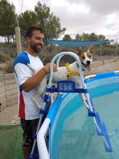 Escuela Canina Argocan