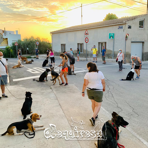 DEQUIRESA   Adiestramiento Canino en Murcia & Residencia Canina